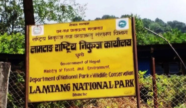 बाढीले रोकिएको लाङटाङ पदमार्ग वैकल्पिक बाटोबाट पुनः सञ्चालनमा
