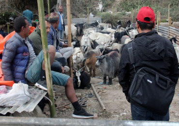 एकरूपता ल्याउन मासुको मूल्य निर्धारण