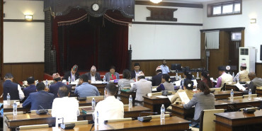 भूमि विधेयक संसदीय समितिबाट पारित, माओवादी र रास्वापाले फरक मत राख्ने