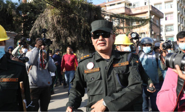 महिलालाई दुर्व्यवहार गरेको आरोप लागेका पाण्डेमाथि छानबीन गर्ने समय थपियो