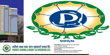 बचतकर्ताको ५० करोड हिनामिना गरेर भागे पर्फेक्ट सहकारीका सञ्चालक, अनुसन्धान गर्दै प्रहरी 