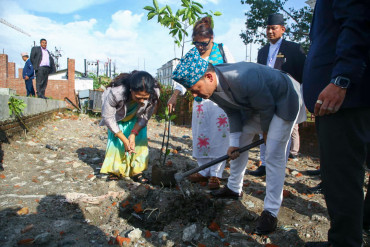 सिंहदरबारमा ‘एक सांसद, एक वृक्षरोपण’: आफूले रोपेको बिरुवासंरक्षण गर्न आग्रह