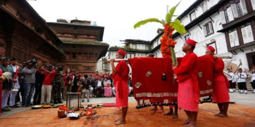 नवरात्रको सातौं दिन आज दशैंघरमा फूलपाती भित्र्याइँदै