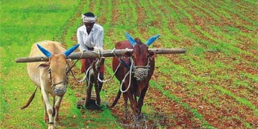 अन्तर्राष्ट्रिय किसानको विश्वव्यापी बैठक नेपालमा हुने