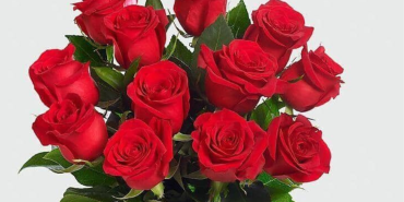 गुलाबले मन र घरको ऊर्जामा कस्तो प्रभाव पार्छ ?