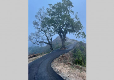 कालोपत्र सडक ‘भाइरल’, तनहुँसुर चर्चामा