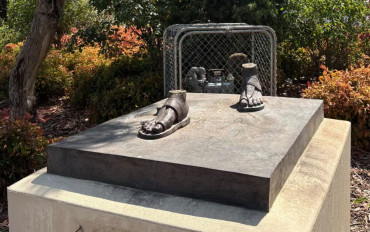 महात्मा गान्धीको सालिक चोरी