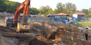 त्रिवि क्रिकेट मैदानको प्यारापिट निर्माणमा बाधक बनेको रुख काटियो