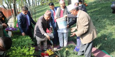 राष्ट्रपति पौडेलद्वारा वनकालीमा वृक्षरोपण