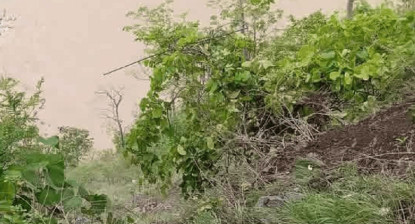कर्णाली नदीमा मिनीबस खस्यो, उद्धार जारी