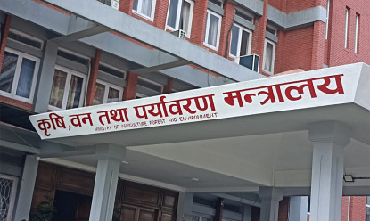 संघीय कृषि बजारको दैनिक थोक मूल्य अब मोबाइलबाटै थाहा पाइने