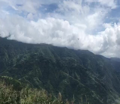 कालिलेकको प्रवर्द्धनमा जुटे तीन स्थानीय तह