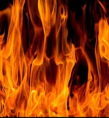 पार्टी प्यालेसमा आगलागी, ४५ लाखको क्षति