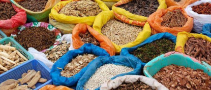 जडिबुटीे सङ्कलन केन्द्रमै अलपत्र