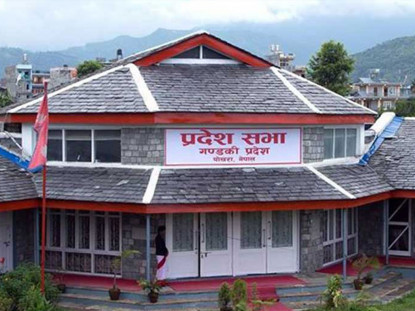 गण्डकी प्रदेशसभा सदस्य थापाले राजीनामा दिनुपर्ने माग