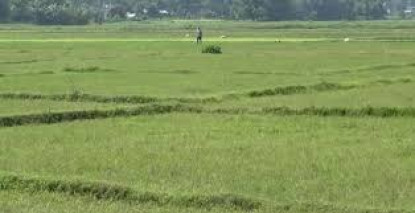 बाँझो जग्गामा खेती गर्नेलाई अनुदान