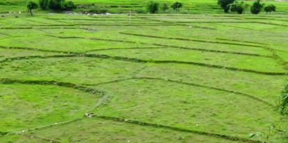 कित्ताकाटसम्बन्धी निर्णय एकसातामै बदर