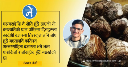 तिरस्कृत अनि घट्दो एक खेती : पिँडालु