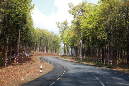 मदन भण्डारी राजमार्ग विस्तारका लागि साढे १३ हजार रुख कटान