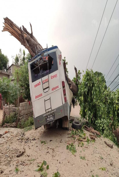 गुडिरहेको बसमा रुख ढलेपछि...