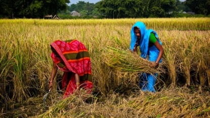 कृषिमा वर्षेनि अर्बौं रुपैयाँ अनुदान ! तर, व्यवहारमा देखिएन नतिजा