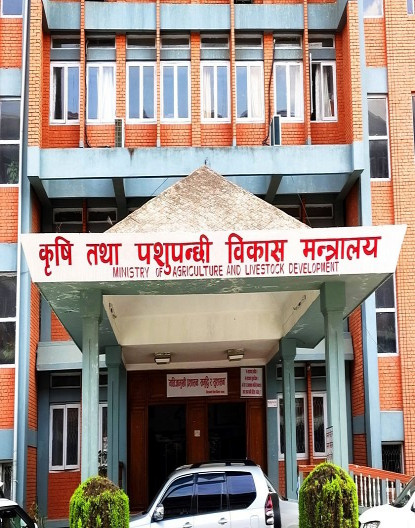 भारतबाट मुर्रा जातको राँगा किन्ने प्रस्ताव