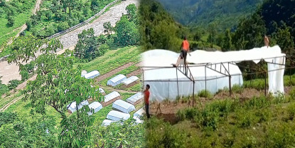 मुख्यमन्त्री नमुना कृषि गाउँमा अनियमितता छोप्न रातारात काम