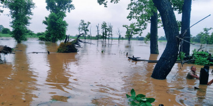 कञ्चनपुरको वनहरा शिविर डुबानमा