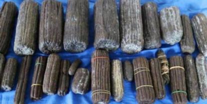 ढाई किलो चरेशसहित एक जना पक्राउ 