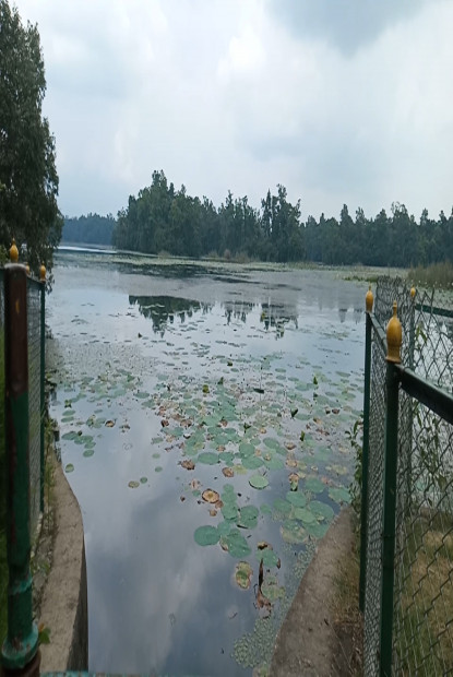 घोडाघोडी सिमसारलाई बर्ड सेन्चुरी घोषणा गरिँदै