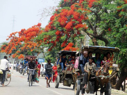गड्डाचौकी नाकाबाट भित्रिए ६ सय विदेशी पर्यटक 