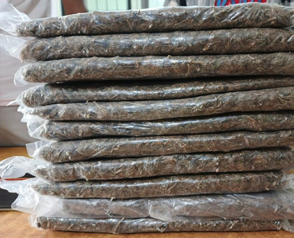 मोरङमा गाँजा बाेकेर हिड्दै गरेका दुई भारतीय नागरिक पक्राउ 