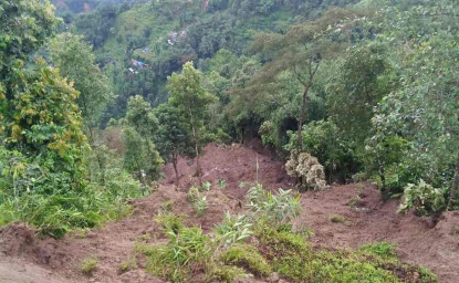 पहिरोमा पुरिएर तीन जिल्लामा २२ जनाको मृत्यु, ३२ बेपत्ता