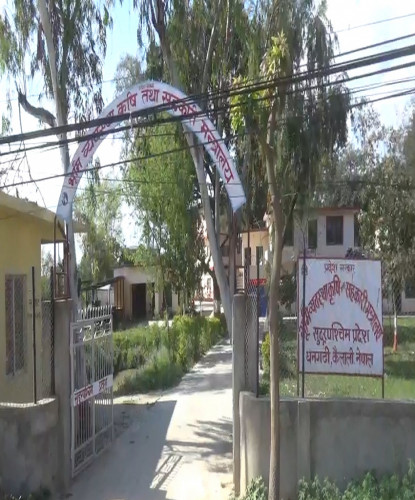 कञ्चनपुरमा शल्यक्रिया गर्ने व्यवस्थासहितको पशु अस्पताल सञ्चालनमा