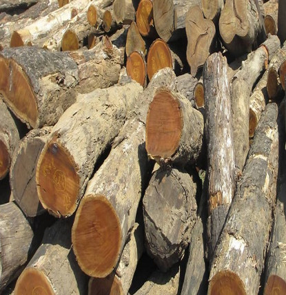 रातको समयमा अवैध काठ बरामद