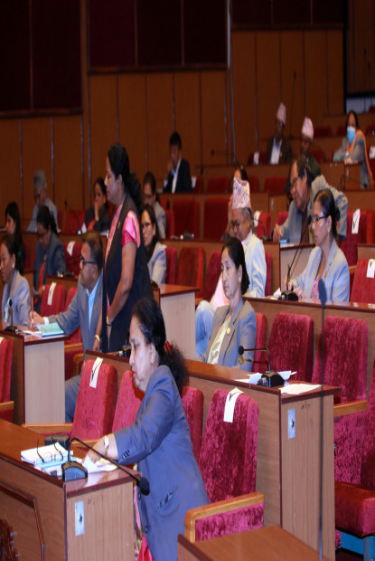 नागरिकता विधेयकमाथि विचार गरियोस् भन्ने प्रस्ताव राष्ट्रियसभाबाट स्वीकृत