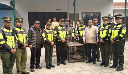 ललितपुरको कुसुन्तीबाट चितुवा उद्धार, उपचारपछि जंगलमै छाडिने