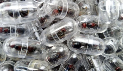 केनियामा चिनियाँ नागरिक पक्राउ