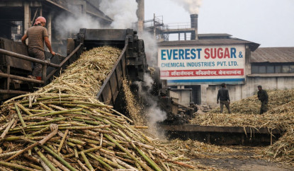 उखु अभावका कारण एभरेष्ट चिनी उद्योगले लक्ष्य अनुसार क्रसिङ गर्न सकेन