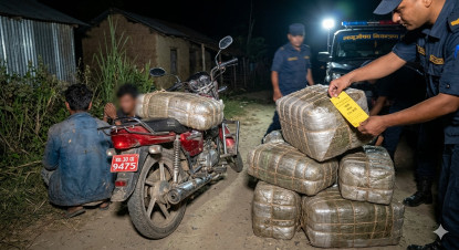 सुनसरीमा सवा २ क्विन्टल गाँजासहित दुई जना पक्राउ