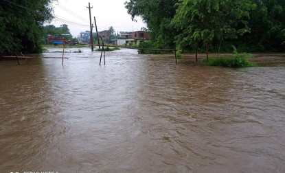 झापामा वर्षाले दुई सीमास्तम्भ डुबान : २७७ घरपरिवार प्रभावित