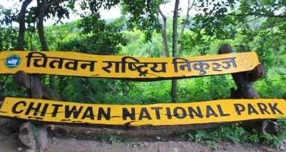 वन्यजन्तुको आक्रमणबाट नौ महिनामा नौ जनाको मृत्यु
