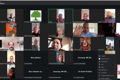 कांग्रेसको प्रतिज्ञा पत्र सर्वसम्मत पारित