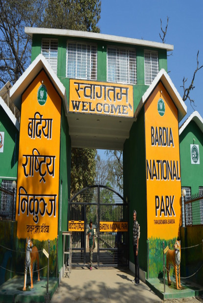 बर्दिया राष्ट्रिय निकुञ्जमा सफारी खुलामा सफारी खुला