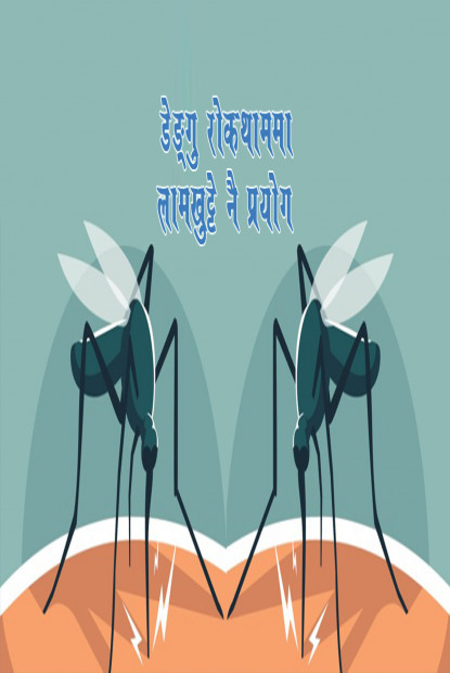खोटाङमा आठ जनामा डेङ्गु सङ्क्रमण
