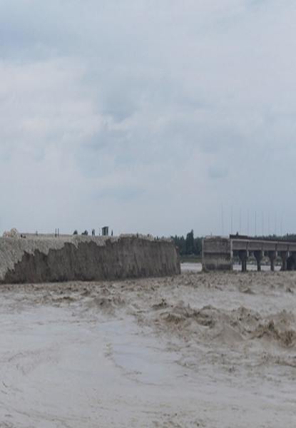 महाकाली पुलको निर्माण सुस्त गतिमा