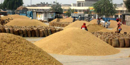 निर्वाचन आयोगले अनुमति नदिँदा धानको समर्थन मूल्य तोकिएन