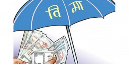 तनहुँमा पत्रकारको १० लाखको बीमा