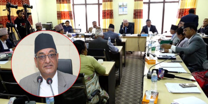 तीनकुने घटनाबारे गृहमन्त्रीले राज्य व्यवस्था समितिमा जवाफ दिने