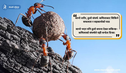 सानो शरीर, ठूलो संघर्षः कमिलाबाट सिकिने सफलता र सहकार्यको पाठ